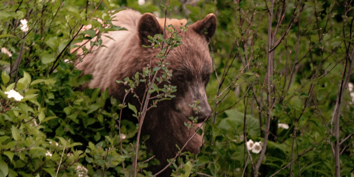 Wat onze hersenen ons (niet) vertellen over sociale grenzen