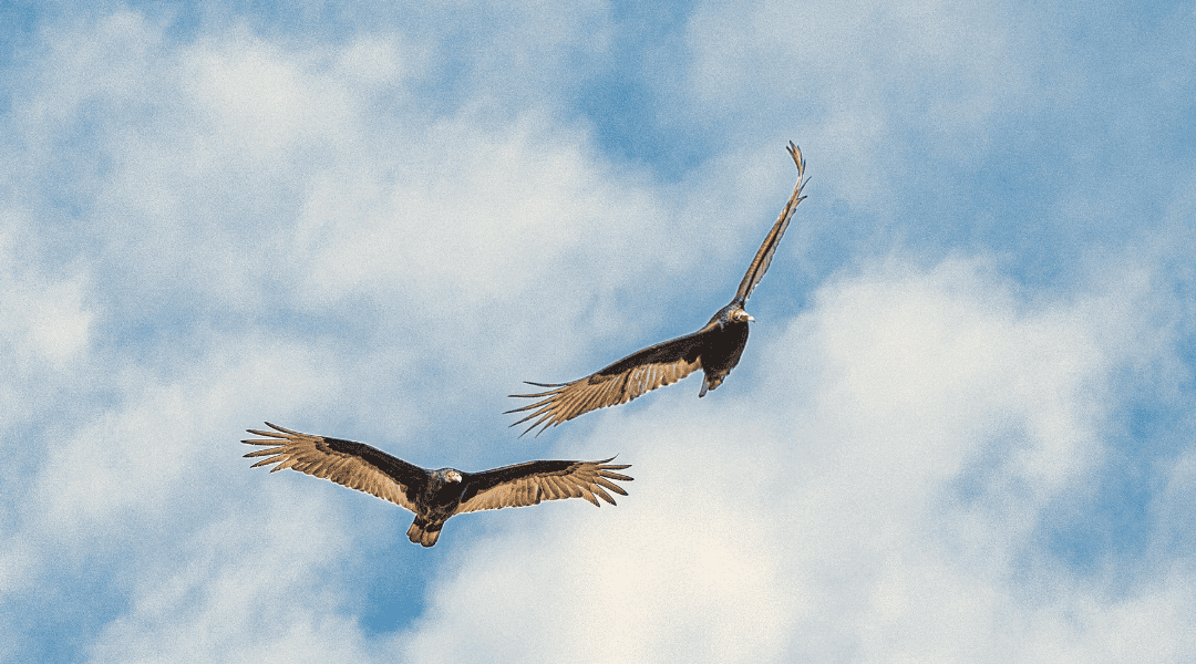 Wat kun je nog geloven? Balans vinden tussen waarheid en leugen