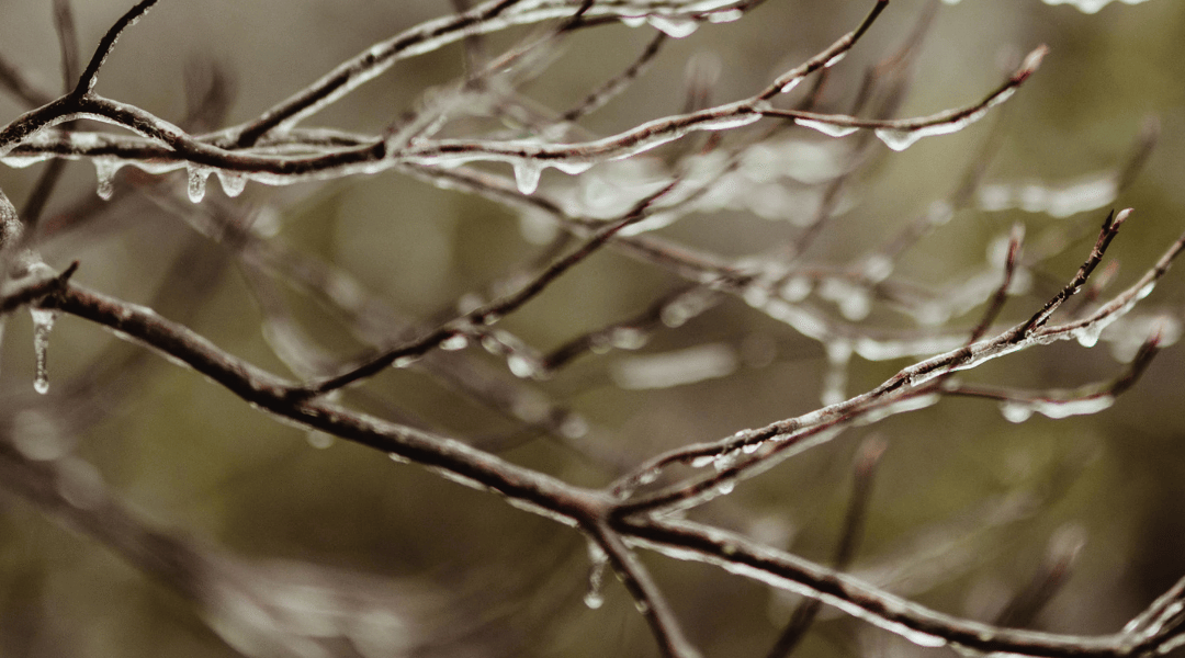 25 simpele tips voor meer rust in je lijf – juist wanneer het druk is