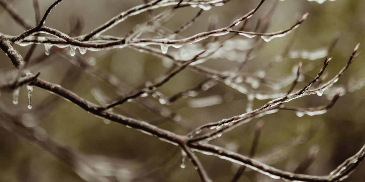 25 simpele tips voor meer rust in je lijf – juist wanneer het druk is