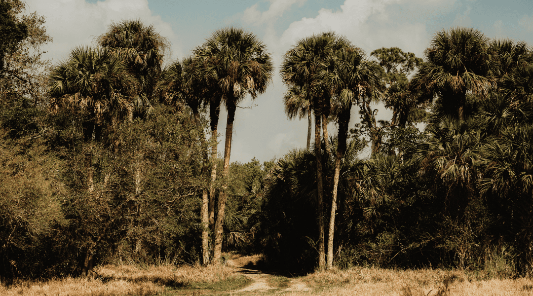 Gastvrijheid zonder voorwaarden: een les voor kerst