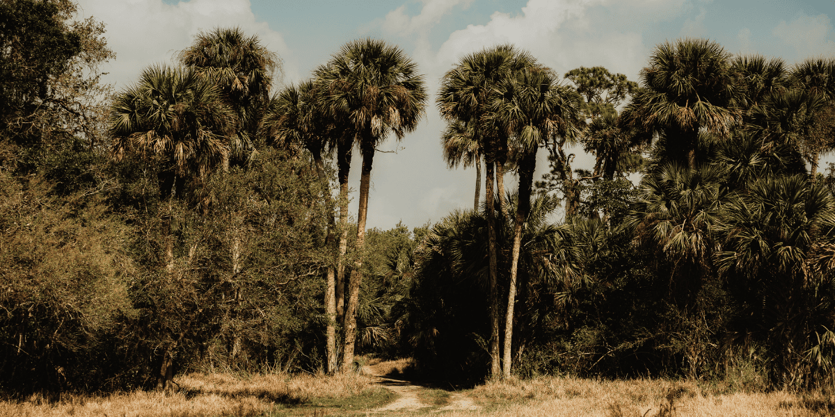 Gastvrijheid zonder voorwaarden: een les voor kerst