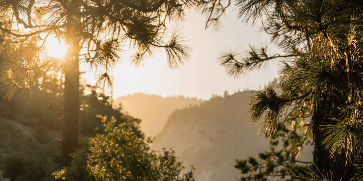 De kracht van dankbaarheid